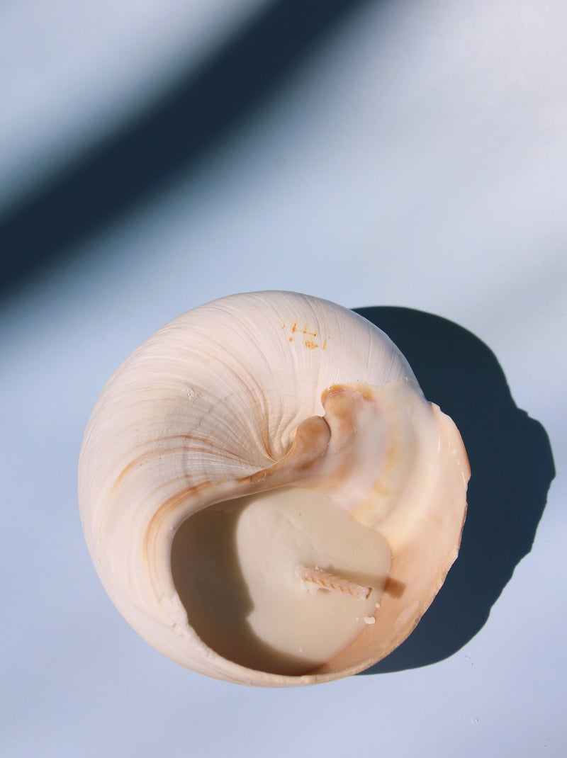 Sable Candle