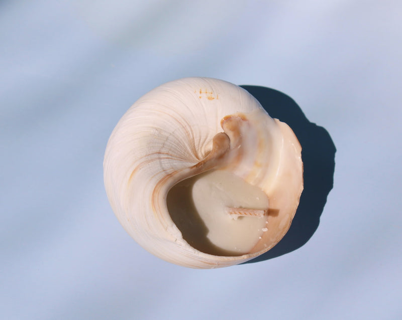 Sable Candle