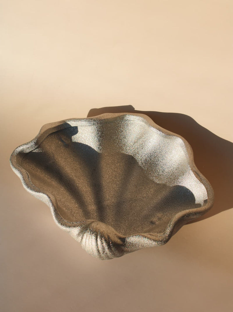 Textured brown and beige shell-like object on a beige background