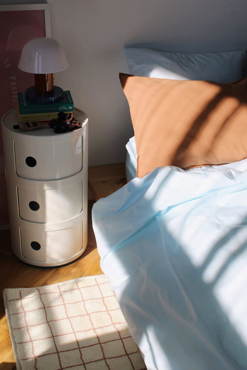 Bedroom cozy scene featuring brown and white grid rug