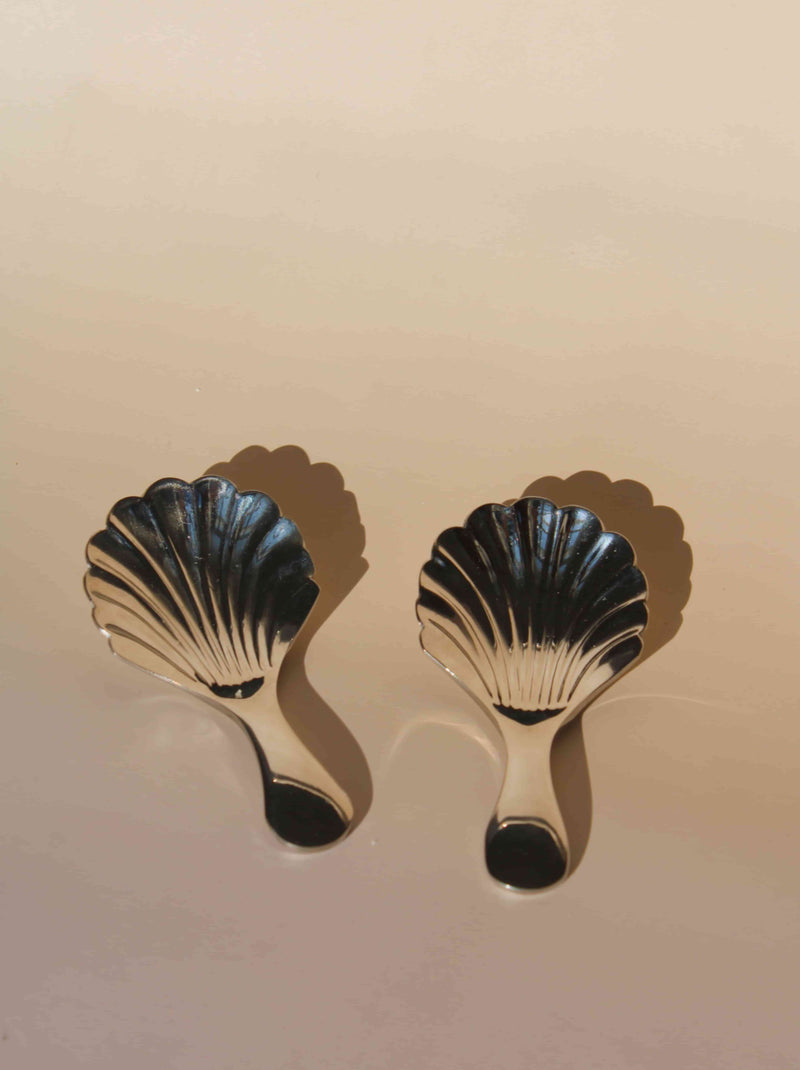 Ensemble de cuillères à coquillage Venera