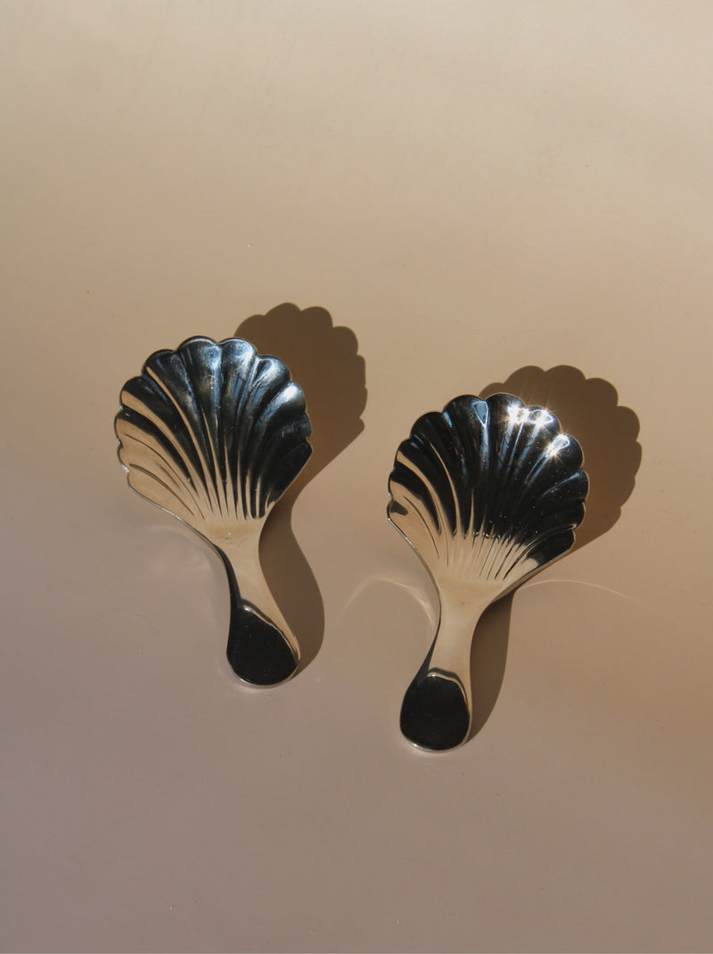 Ensemble de cuillères à coquillage Venera