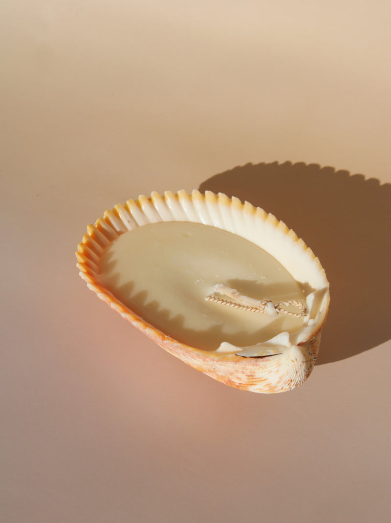 Coquille Candle