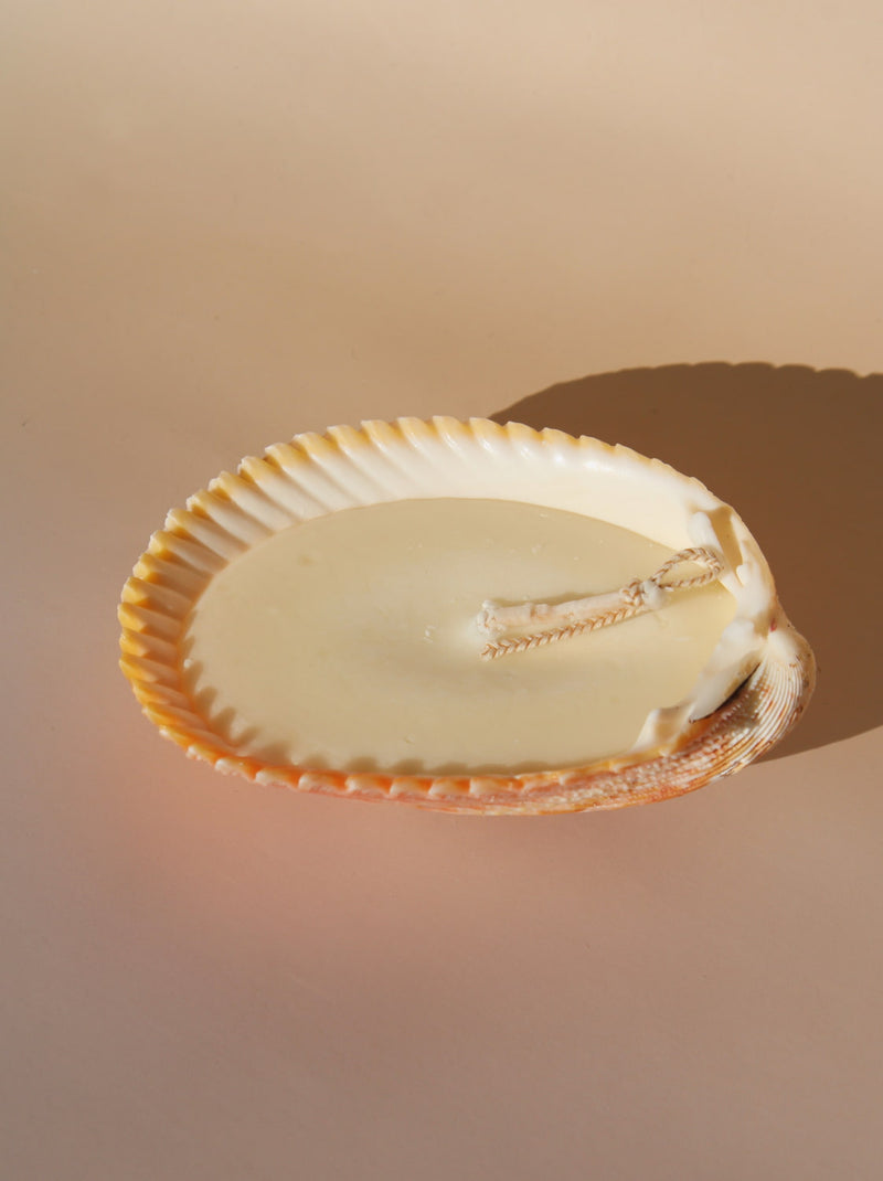 Coquille Candle
