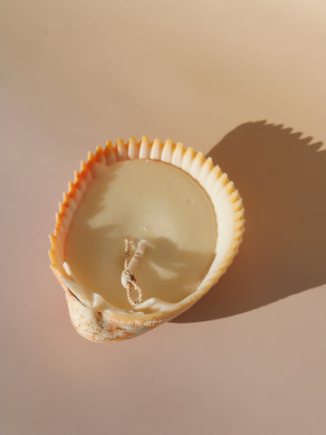 Coquille Candle