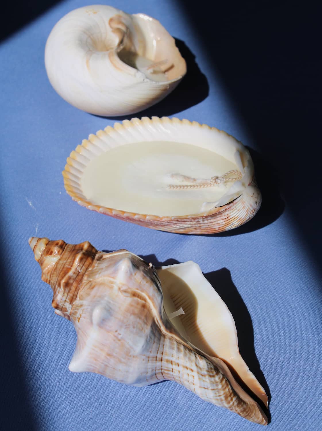Coastal candle trio with Coquille Candle, Marée Seashell Candle and Sable Candle on ocean-inspired table