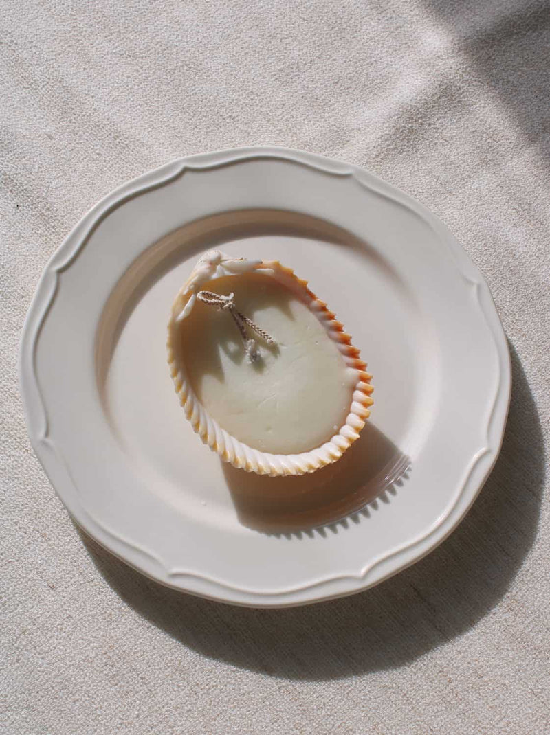 Coquille Candle