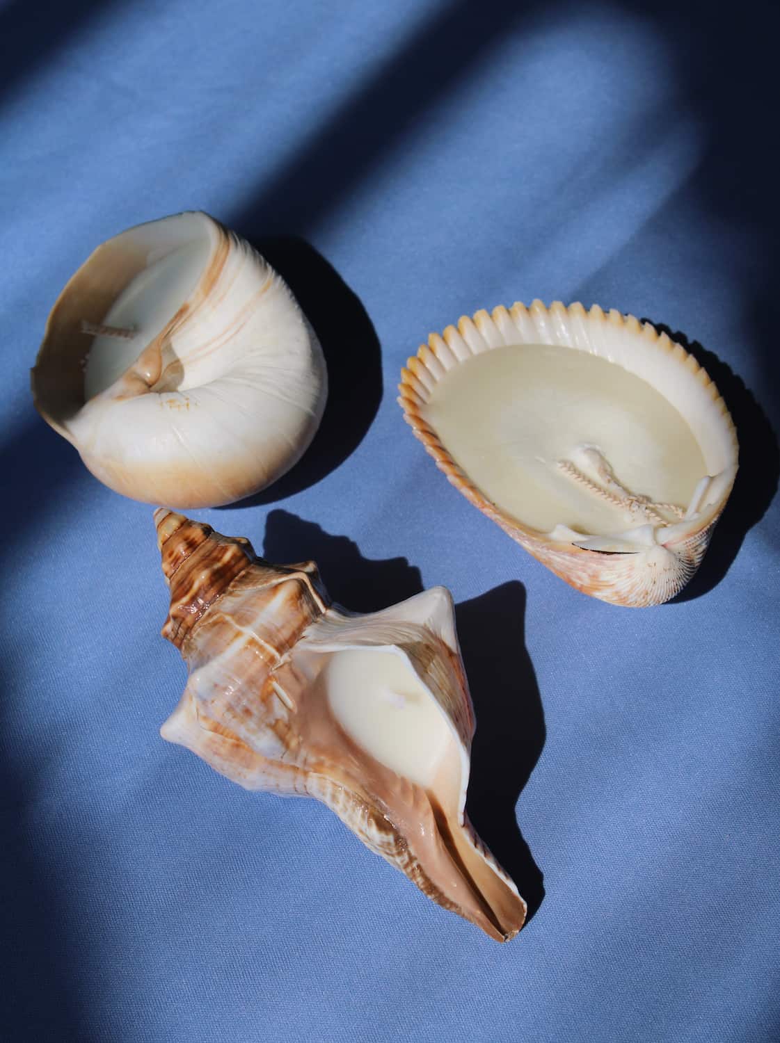 Coastal candle trio with Coquille Candle, Marée Seashell Candle and Sable Candle on ocean-inspired table