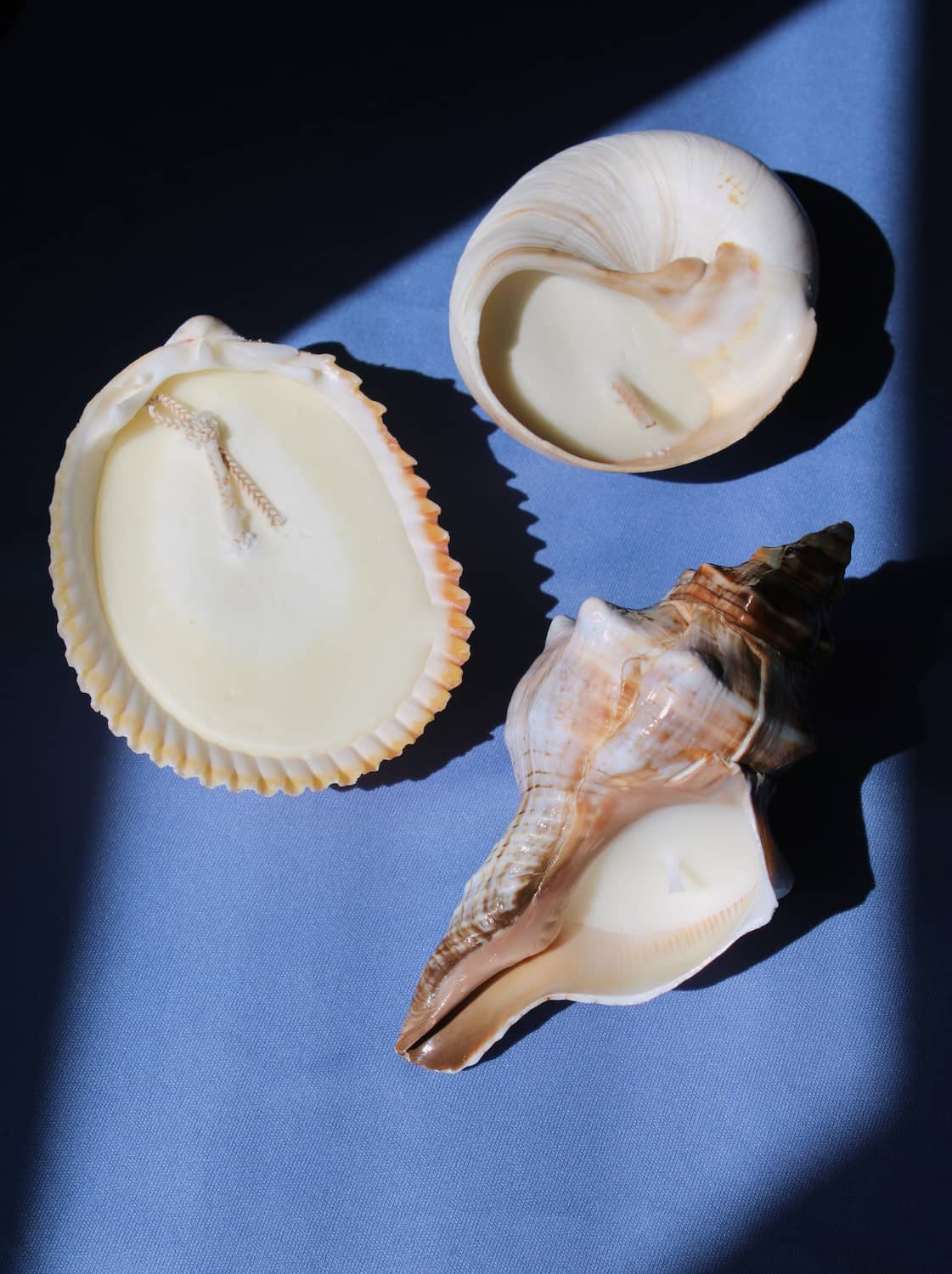 Coastal candle trio with Coquille Candle, Marée Seashell Candle and Sable Candle on ocean-inspired table
