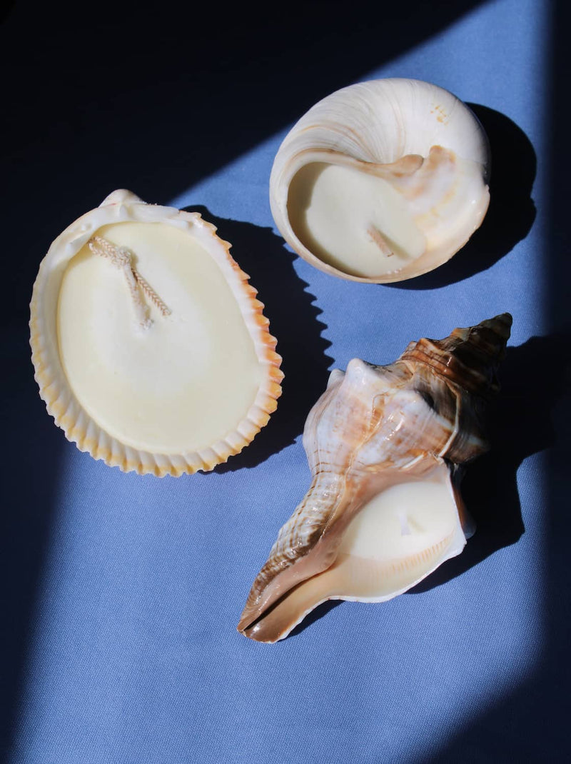 Coastal candle trio with Coquille Candle, Marée Seashell Candle and Sable Candle on ocean-inspired table