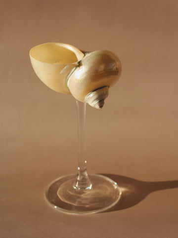 Sirena Shell Stem Glass