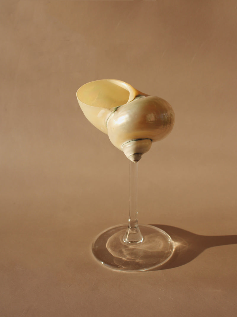 Verre à pied Sirena Shell