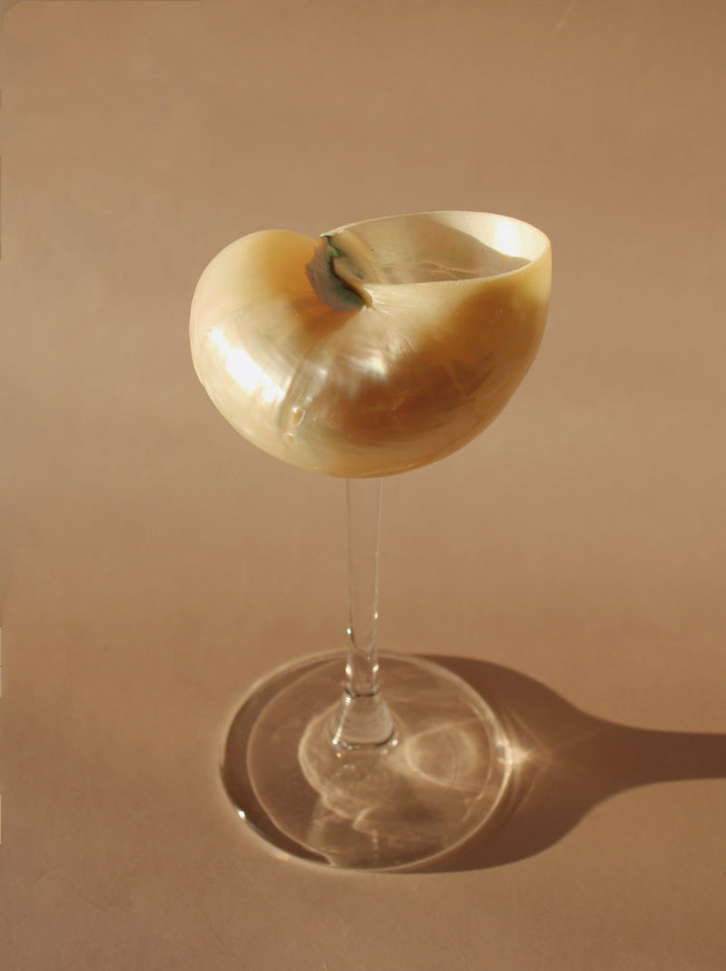 Verre à pied Sirena Shell
