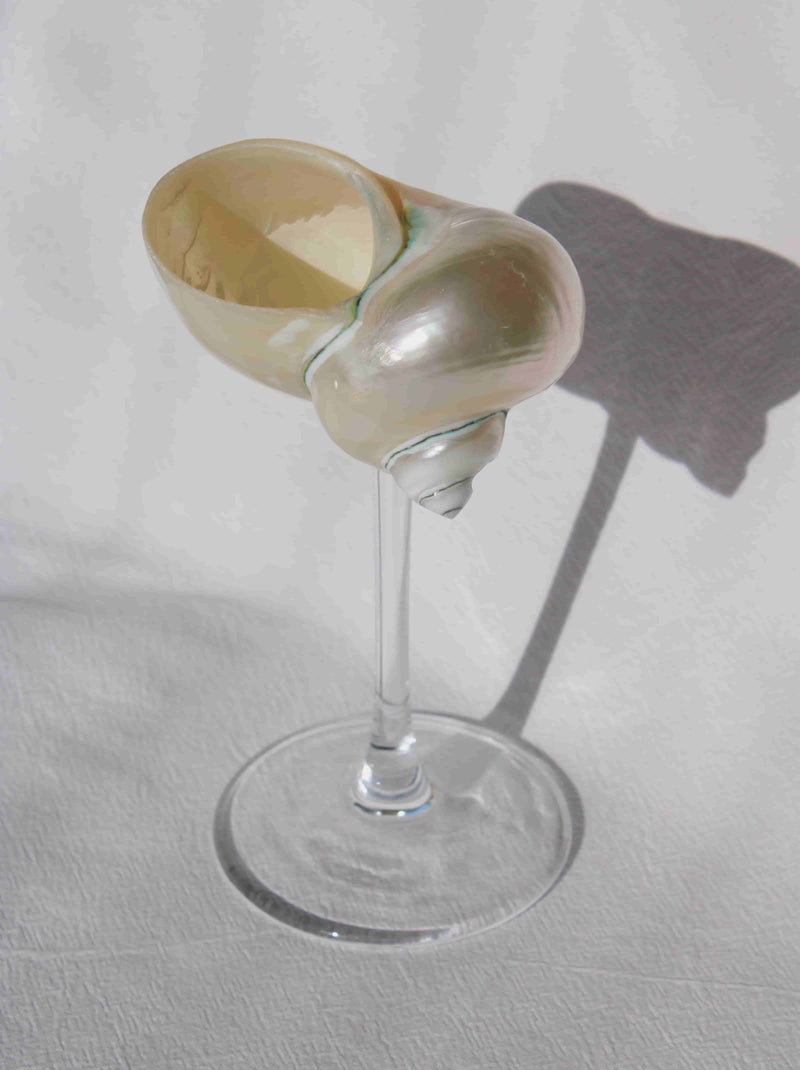 Verre à pied Sirena Shell