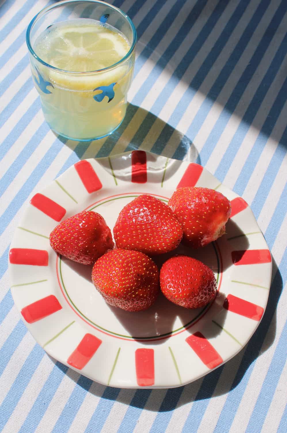 Riviera Ceramic Plates styled with watermelon and strawberries alongside the Birdie Tall Glass and Birdie Short Glass on a blue striped surface, with stacked books and a white pendant lamp in the background.