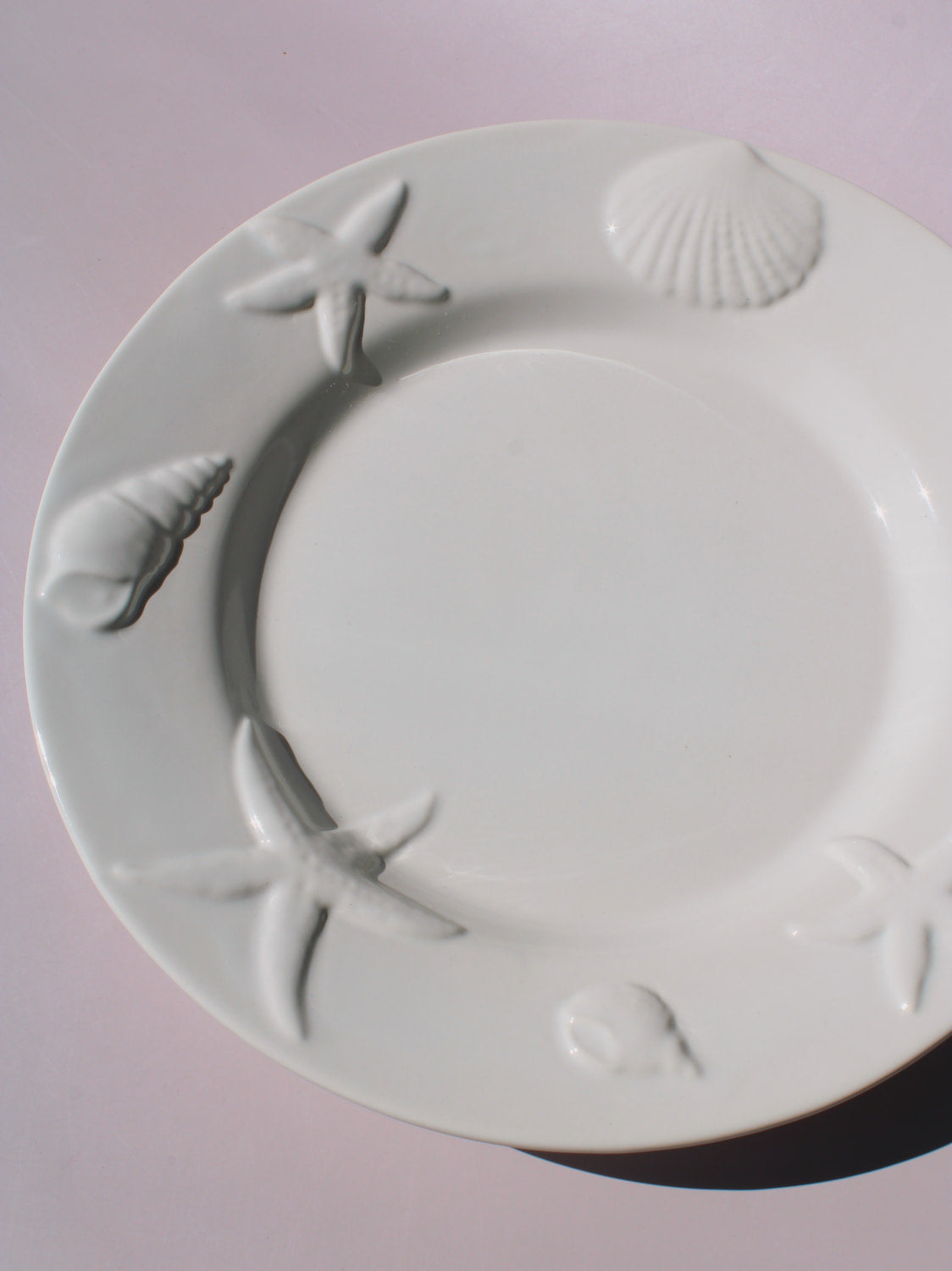 Caspia Ceramic Plate with embossed starfish, seashells and conch border, white ceramic dinner plate top view