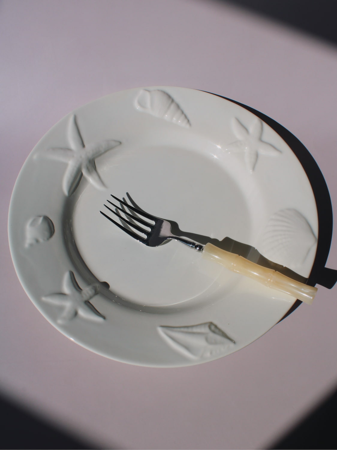 Caspia Ceramic Plate with embossed starfish, seashells and conch border, white ceramic dinner plate top view
