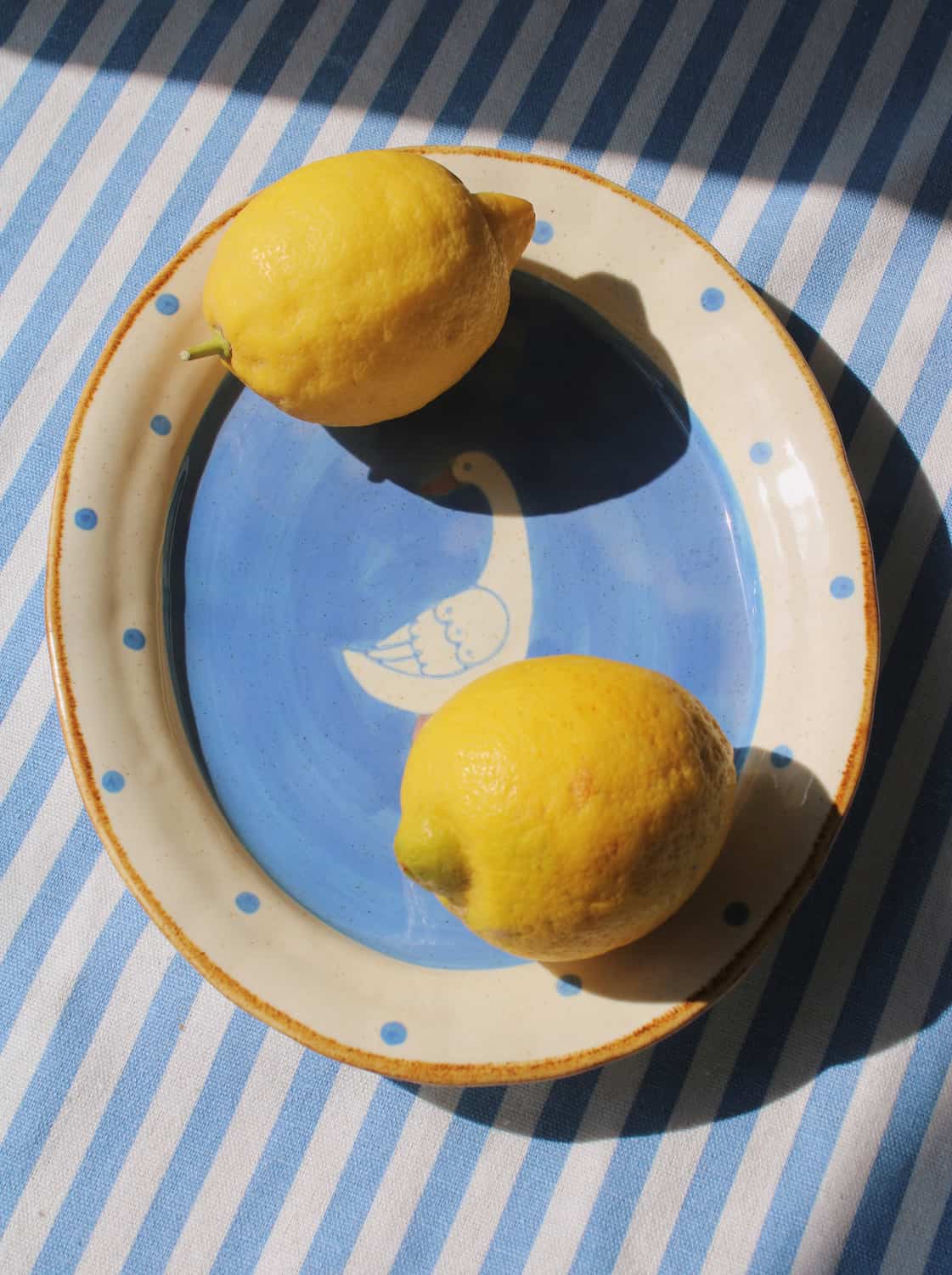 Handmade ceramic plates with duck illustrations, Pond plate styled with lemons 