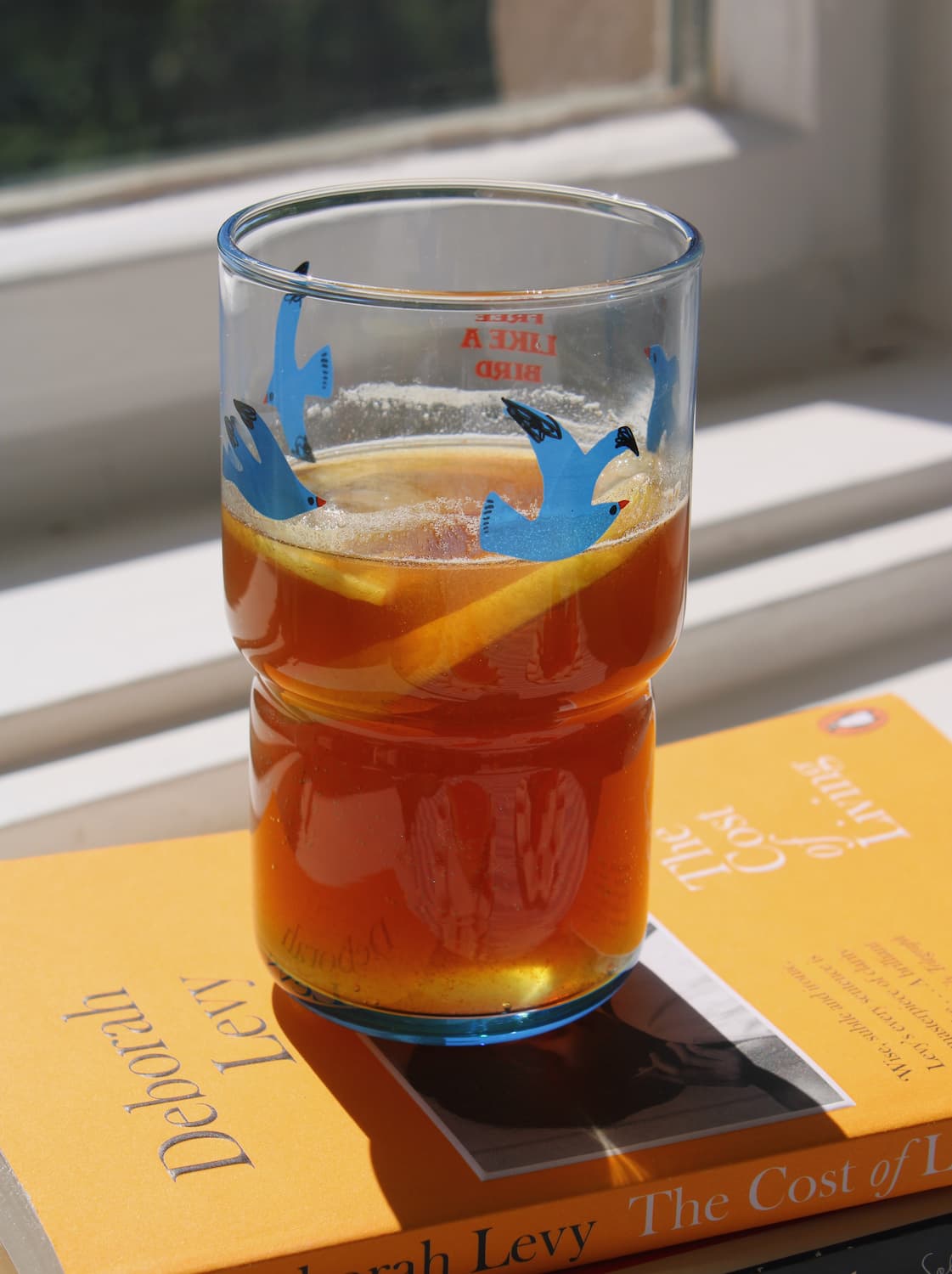 Glass of iced tea with lemon slices on a book, sunlight streaming through a window.