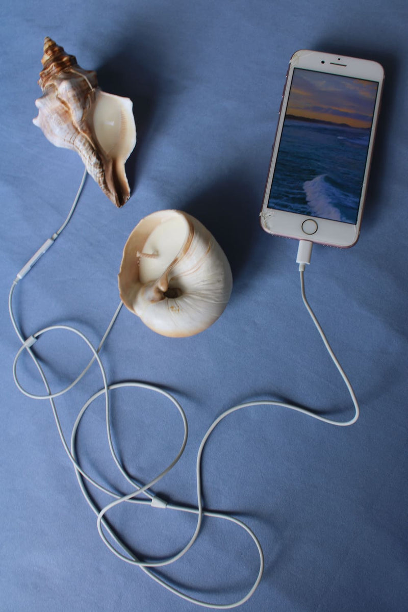 A white smartphone lying on a blue fabric surface, connected by a white cable to a spiral seashell-shaped inline speaker. A second seashell sits nearby, and the phone screen shows a beach sunset wallpaper.